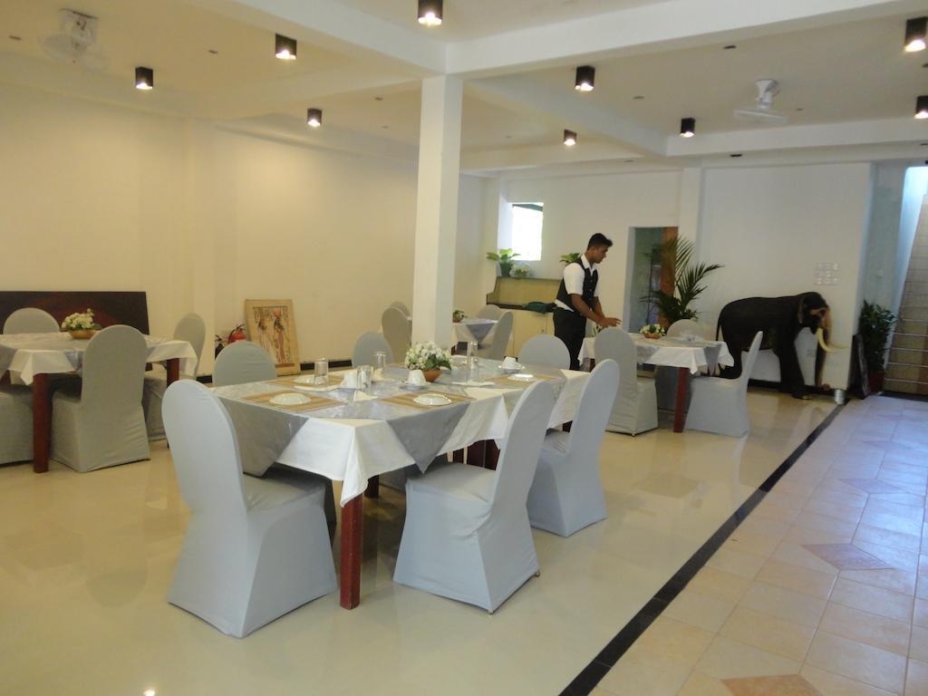 Green Land Guest House Pinnawala  Zewnętrze zdjęcie